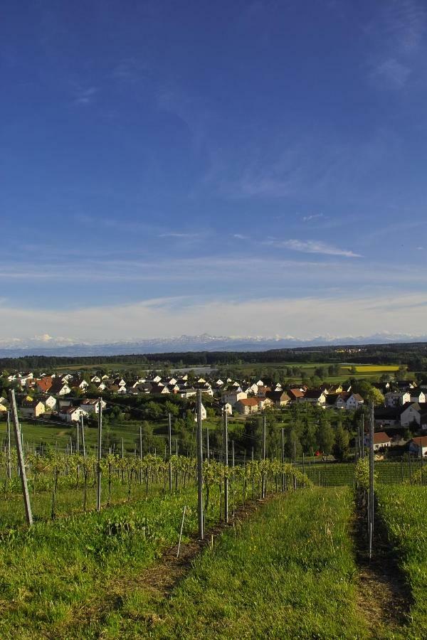 Fewo Schillerstrasse Markdorf Bagian luar foto